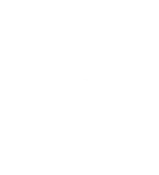 tripadvisor